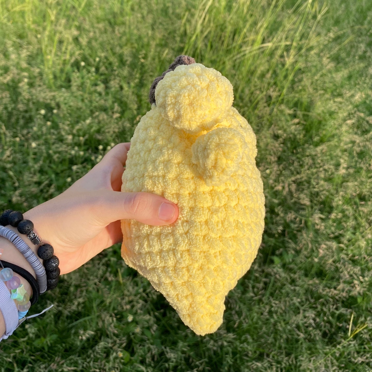 Pompom Purin