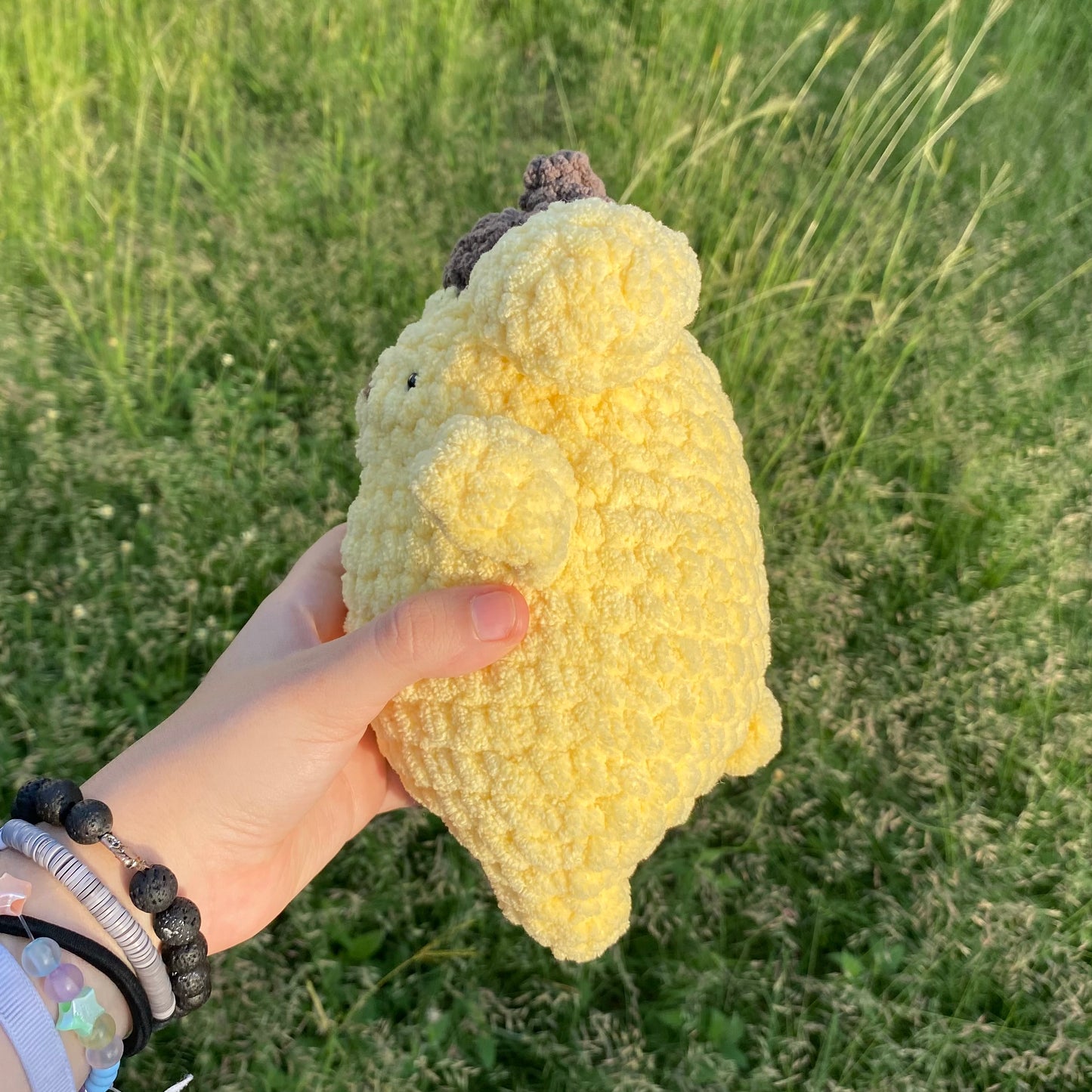 Pompom Purin